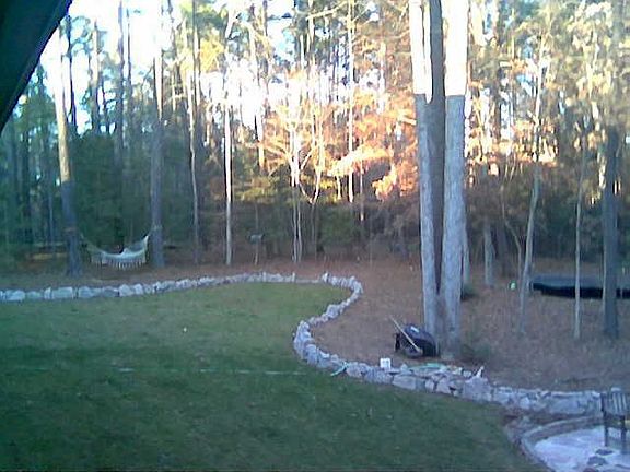 back yard