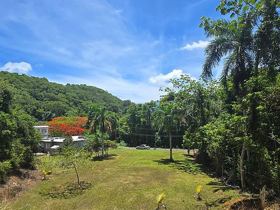 2nd image of Carr Pr111 Camino Tono Colon