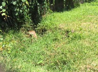 4325 Bondarenko Rd, Keystone Heights, FL 32656