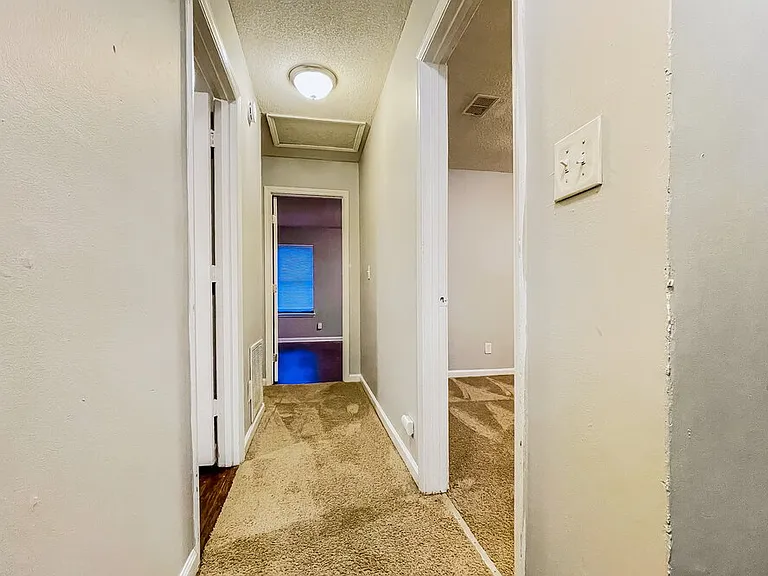 3895 Springleaf Ct — Photo 18
