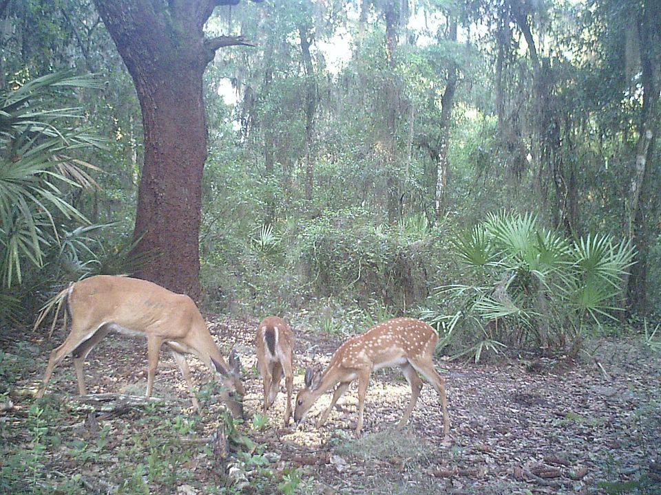 1st image of 1800 County Rd. 13s