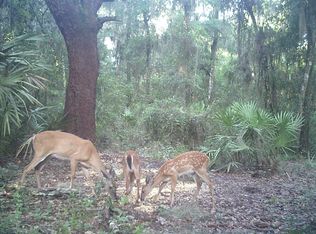 1800 County Rd. 13s, Elkton, FL 32033