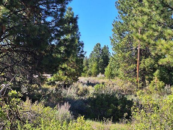 3rd image of Shoreview Drive 9 Lot 18