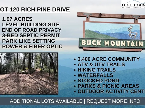 Lot 120 Rich Pine Drive, Purlear, NC 28665