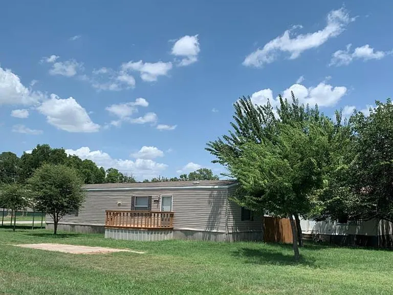 Tree filled lot