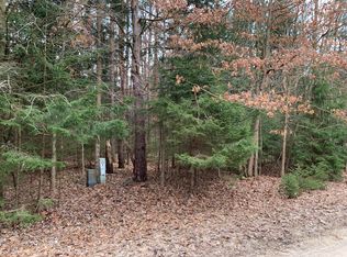 9205 White Pine Dr, Stanwood, MI