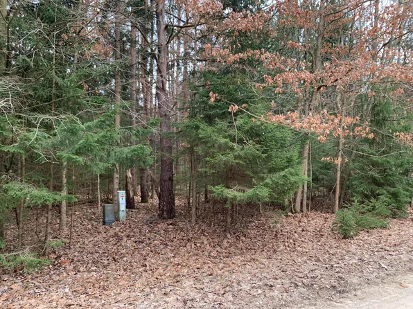 9205 White Pine Dr, Stanwood, MI 49346