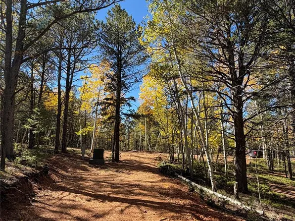 800 Timber Ridge Rd, Divide, CO 80814