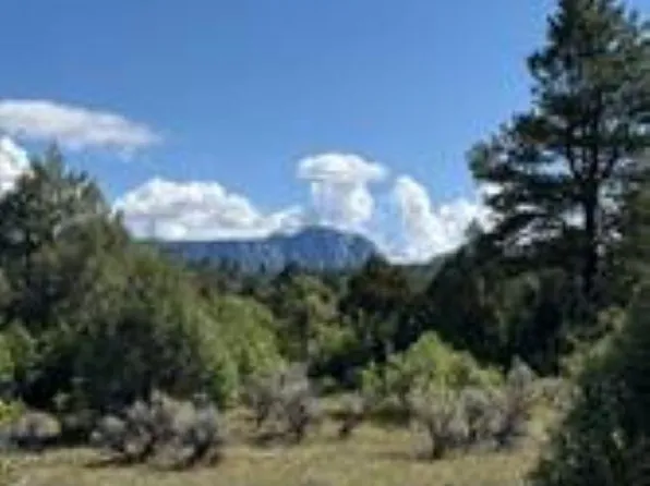2 Tract C Cres #485, Tierra Amarilla, NM 87575