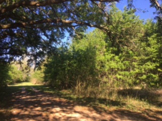 1st image of 28171 County Road 65