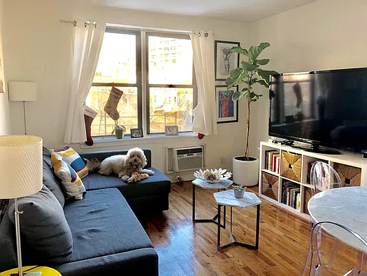 Rented by Bold New York | media 2