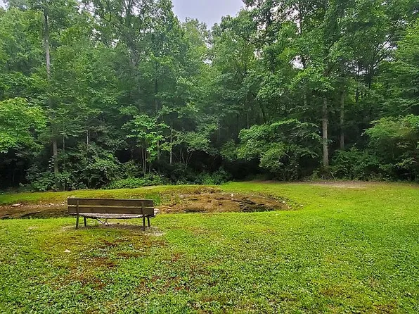 Natures Way, Blue Ridge, GA 30513