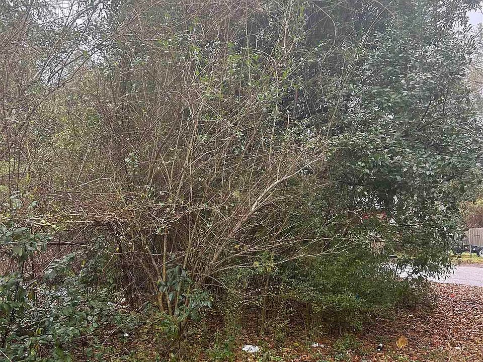 1st image of LOT 11 McConnell St