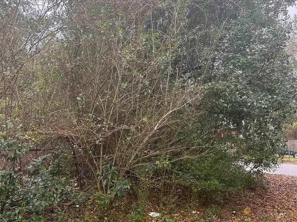 LOT 11 McConnell St, Brewton, AL 36426
