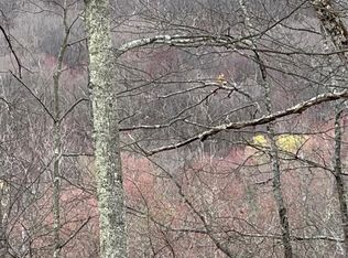 Fox Mountain, Livingston Manor, NY 12758