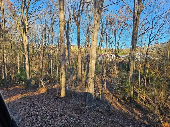 256 Elmwood Ct, Ellijay, GA 30540