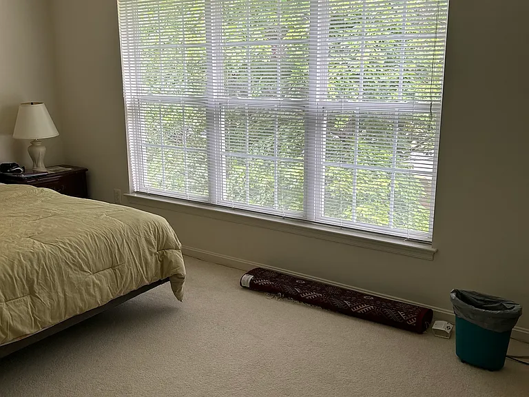 Large windows overlooking well maintained trees