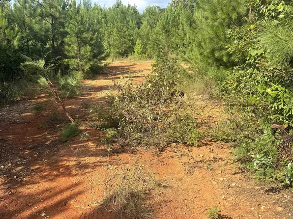 0 County Road 49 #0, Muscadine, AL 36269