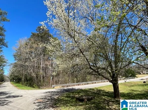 0 Terry Rd #48-52, Anniston, AL 36207