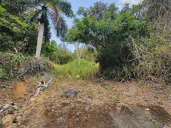 3rd image of State Highway 853 Interior Cacao Ward Lot 7