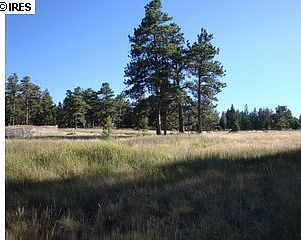 5th image of 3613 Green Mountain Dr