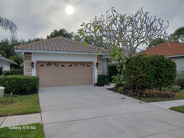 Driveway and Garage