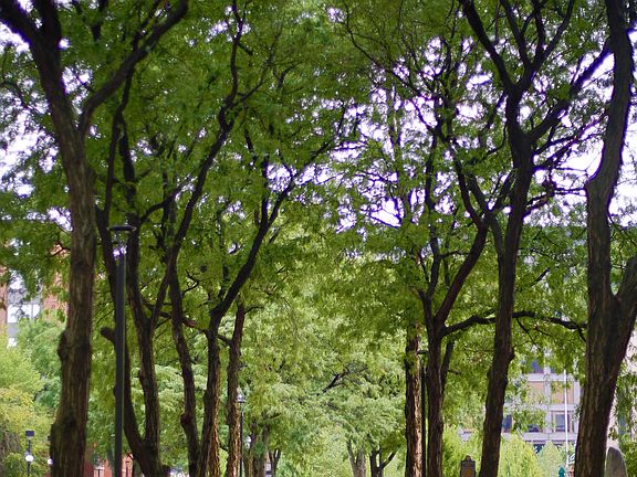 Walkway to building