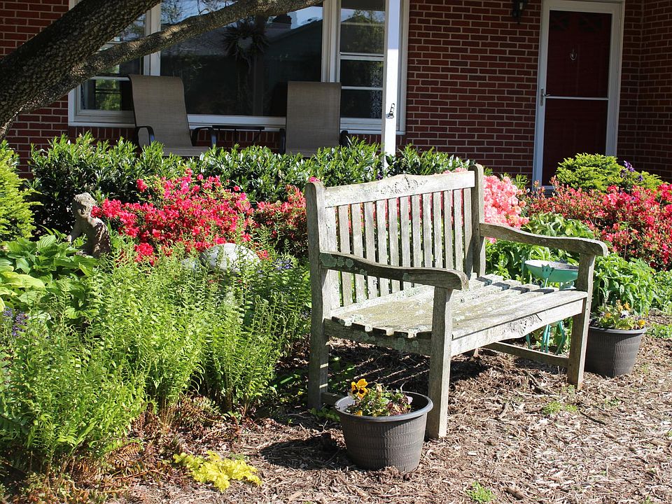 Front yard bench with azaleas in bloom