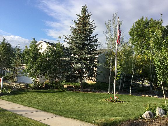 Awesome trees = Shade!