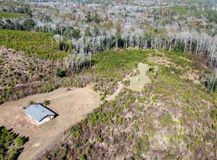 1 Lee Boggan Rd, Mendenhall, MS 39114