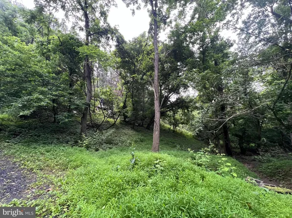 1332 King David Dr, Linden, VA 22642