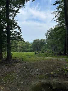 Lot 29 Meaderboro Road, Alton, NH, 03809