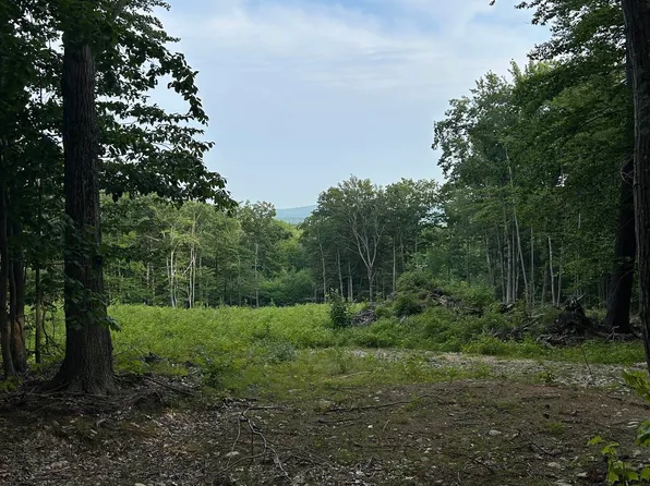 Lot 29 Meaderboro Road, Alton, NH 03809