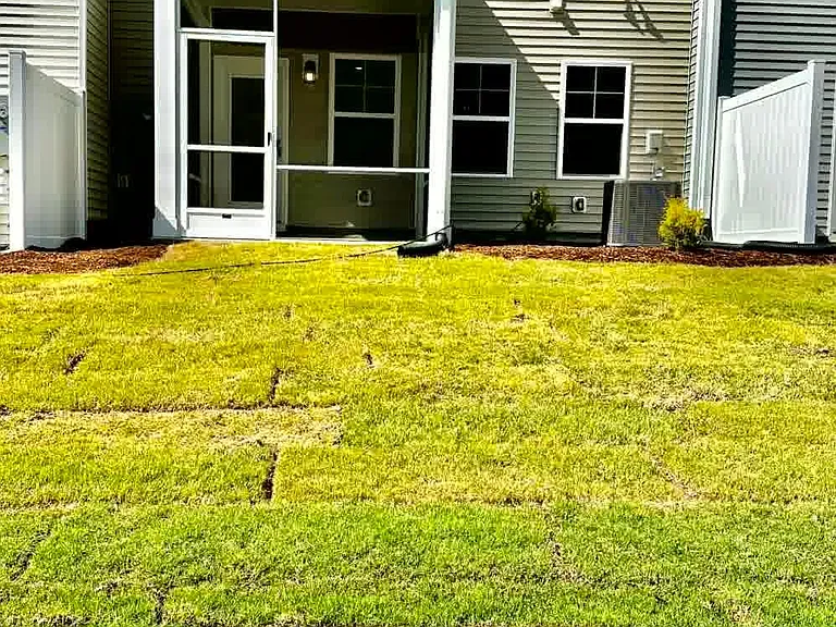 Backyard ! Lust green backyard with screen porch and spot lights
