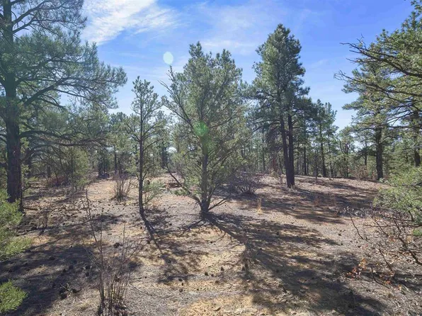 TBD Rancho La Garita Lot 1129, Weston, CO 81082