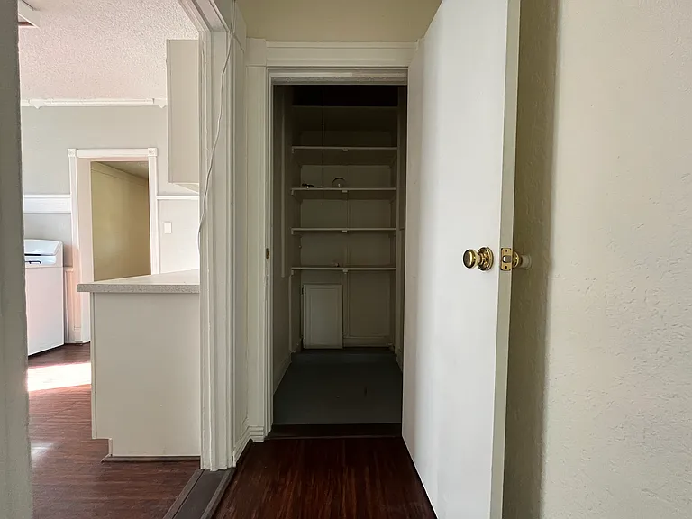 Hall Closet/Pantry