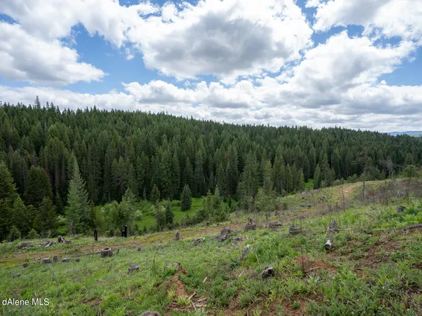 1213 Trapper Loop, Saint Maries, ID 83861