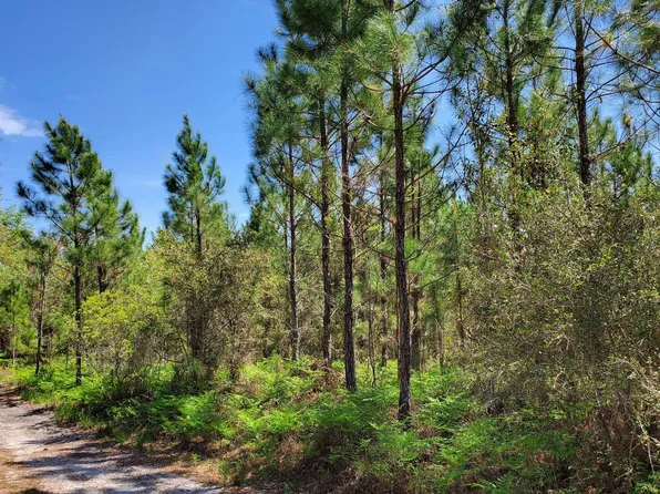 0 Gum Rd Lot 7.2, Lee, FL 32059