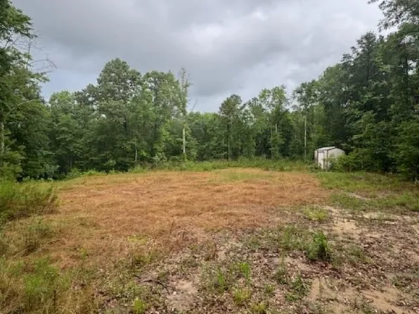 26929 Loango Rd, Red Level, AL 36474