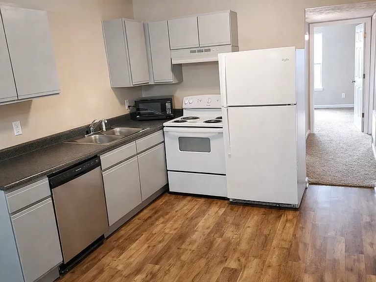 Kitchen- Fridge, Stove, Dishwasher and Microwave