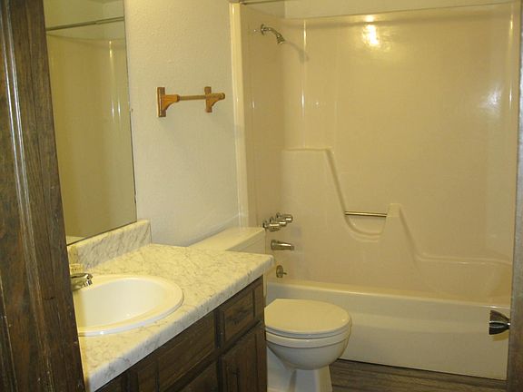 Hall Bath - tub-shower combo