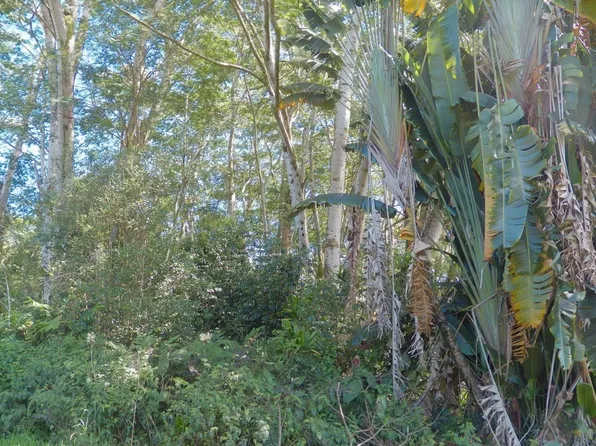 17-4066 Kapalai Rd, Mountain View, HI 96771