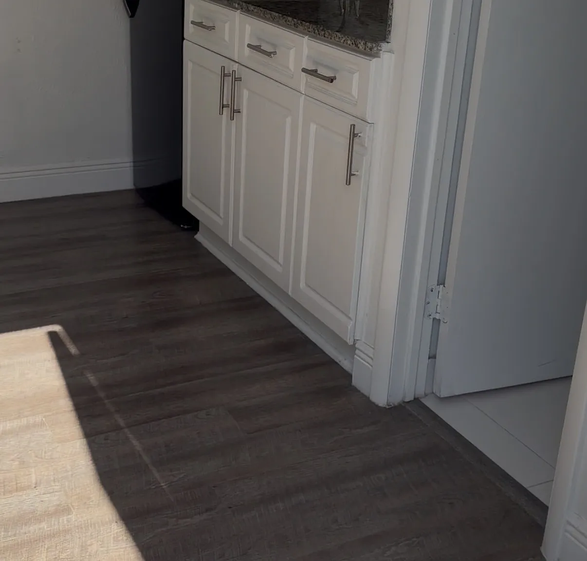 1 bed, 350 sqft, $1,200 — Photo 3