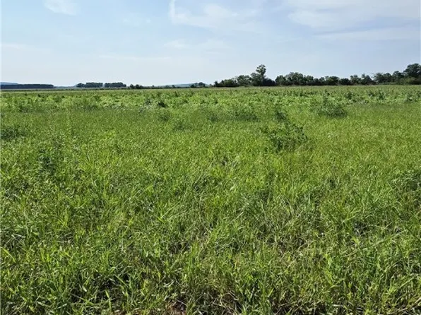 Old Sandy Rd, Paris, AR 72855