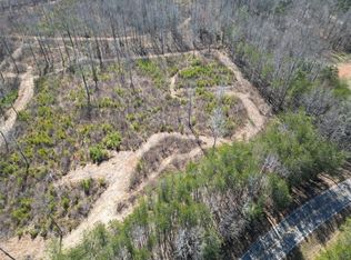 0 Truelove Rd, Cleveland, GA 30528