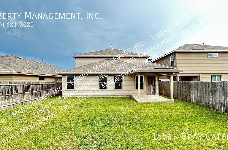 15549 Gray Catbird — Photo 47