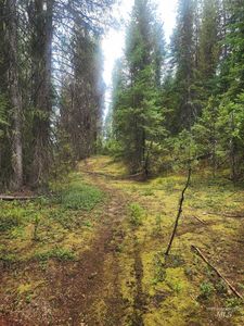 Wheeler Mountain Rd, Elk City, ID, 83525