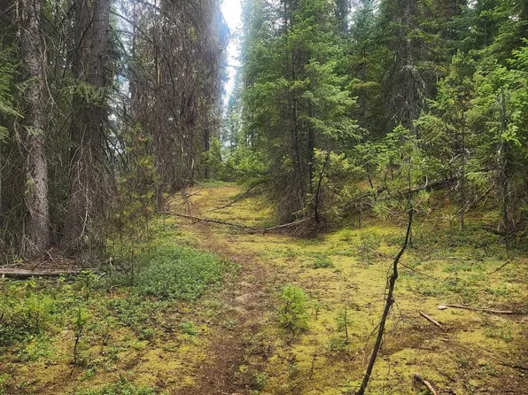 Wheeler Mountain Rd, Elk City, ID 83525