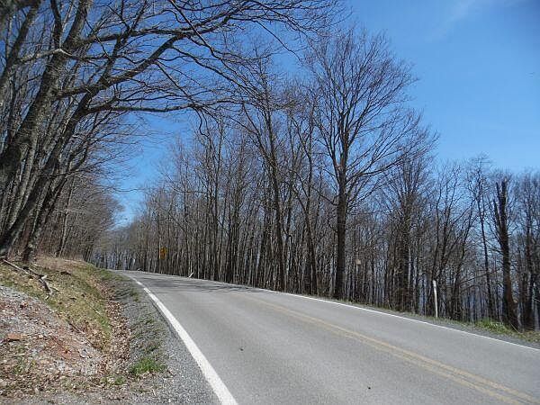 2nd image of 6185 Cass Rd