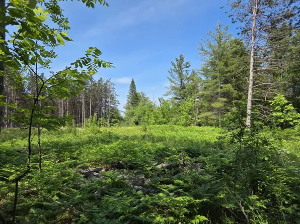 18862 N Old Mackinaw Rd, Cheboygan, MI 49721